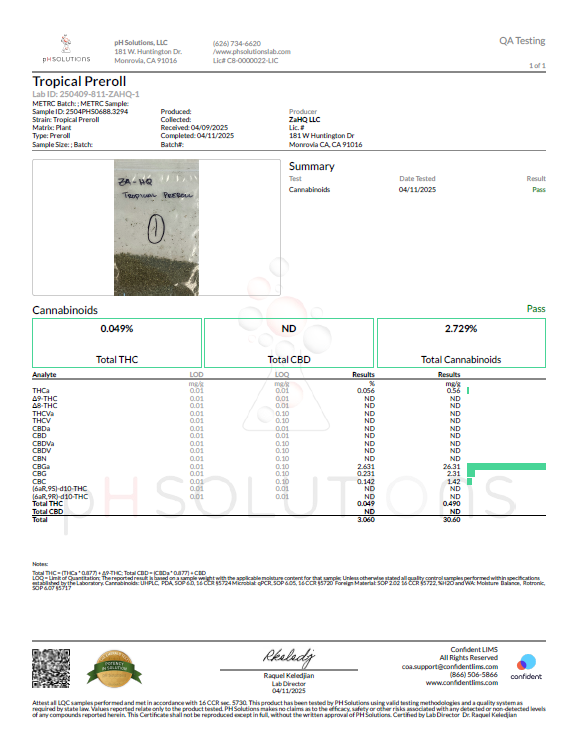 10CT/2CT COATED PRE-ROLLS